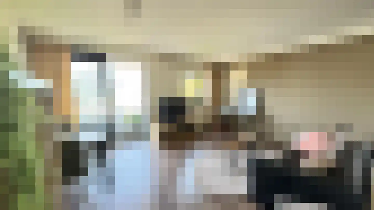 Bleekweg 63 Eindhoven thumbnail 15