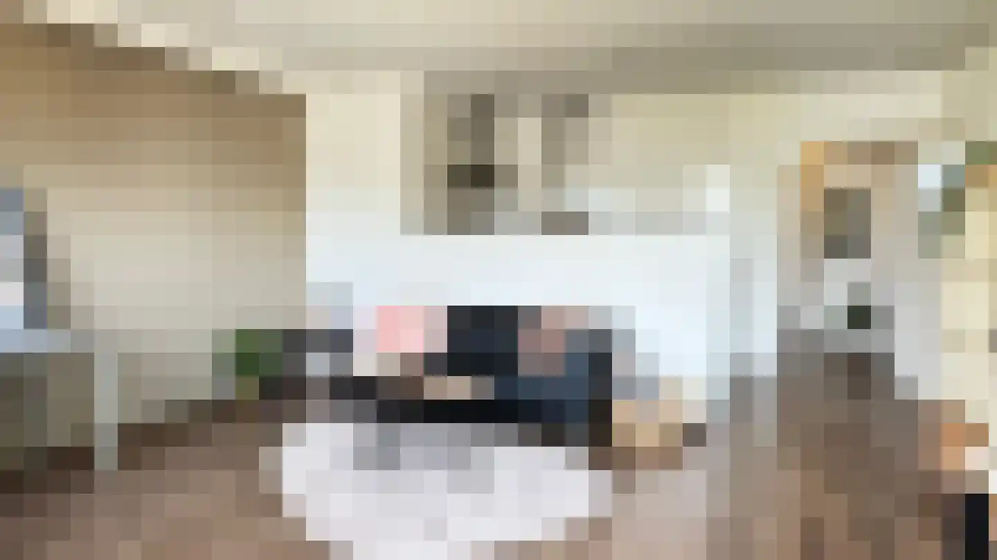 Bleekweg 63 Eindhoven thumbnail 16