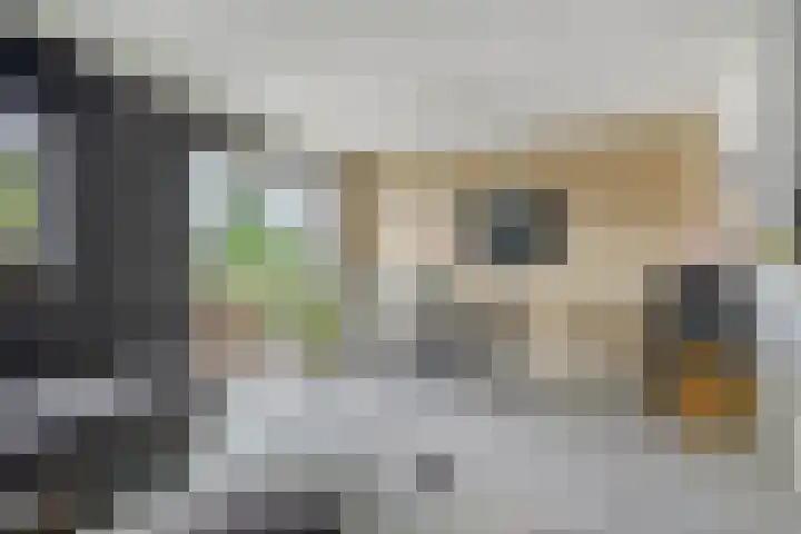 Bleekweg 65 Eindhoven thumbnail 10