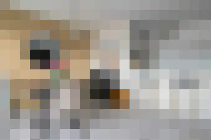 Bleekweg 65 Eindhoven thumbnail 11
