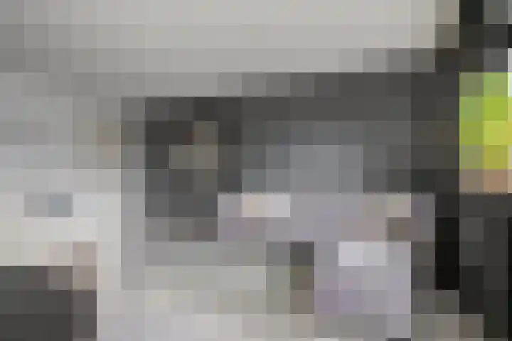 Bleekweg 65 Eindhoven thumbnail 13