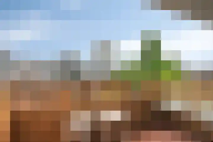 Bleekweg 65 Eindhoven thumbnail 17