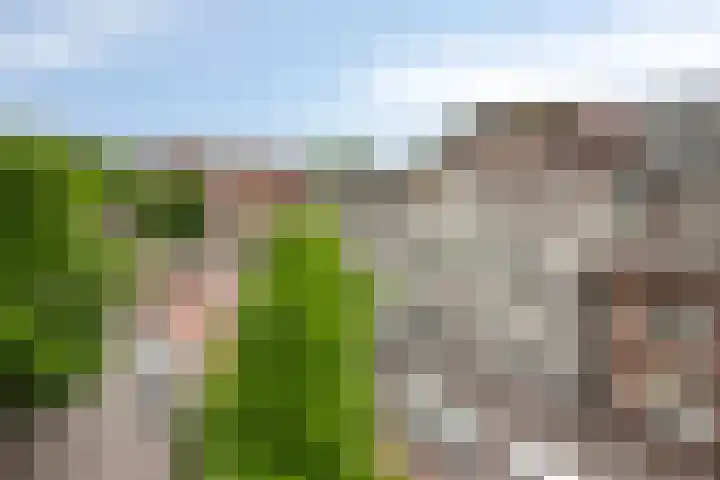 Bleekweg 65 Eindhoven thumbnail 24
