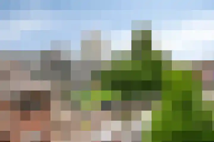 Bleekweg 65 Eindhoven thumbnail 25