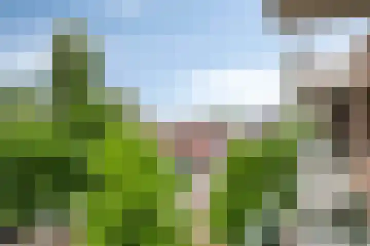 Bleekweg 65 Eindhoven thumbnail 26
