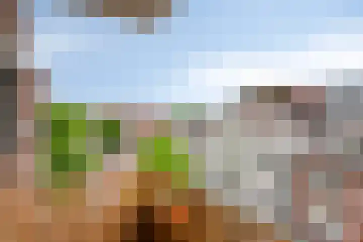 Bleekweg 65 Eindhoven thumbnail 27