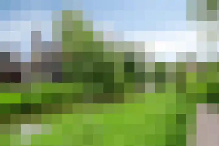 Bleekweg 65 Eindhoven thumbnail 29