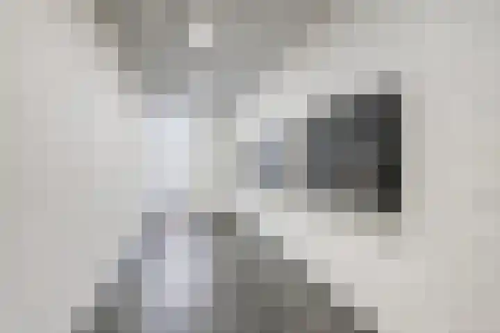 Bleekweg 65 Eindhoven thumbnail 6