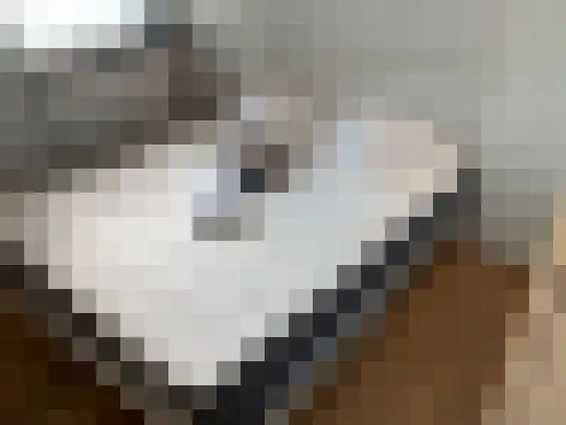 Bleekweg Eindhoven thumbnail 6