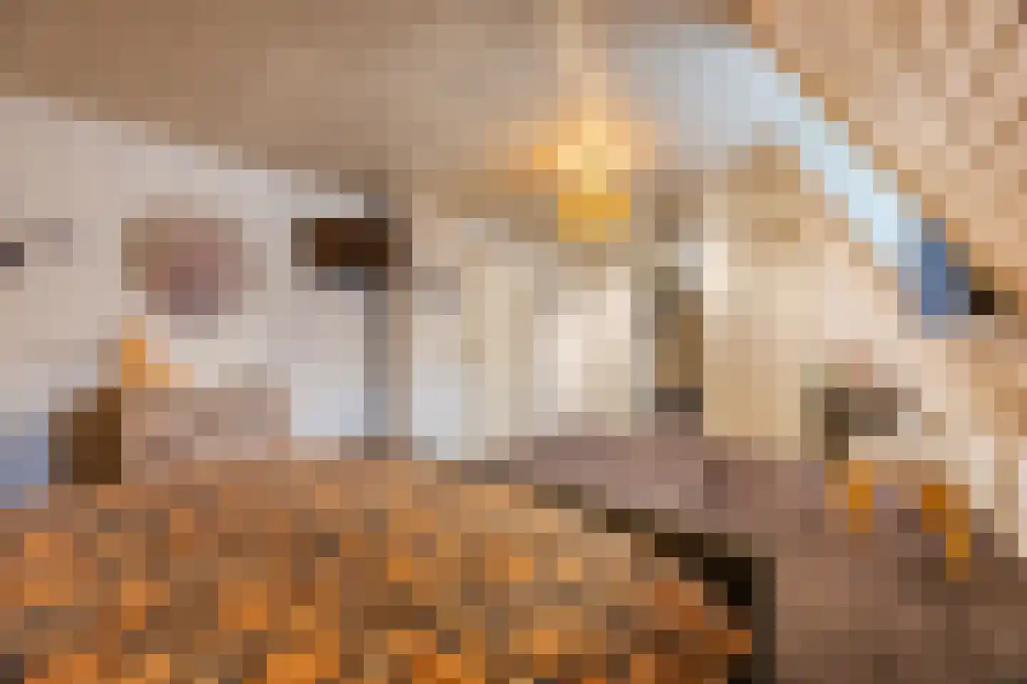 Bleekweide 2 Erp thumbnail 35