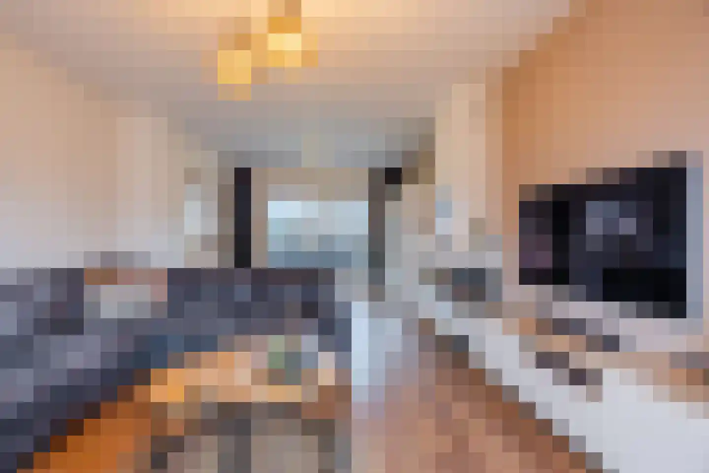 Bleekweide 2 Erp thumbnail 4