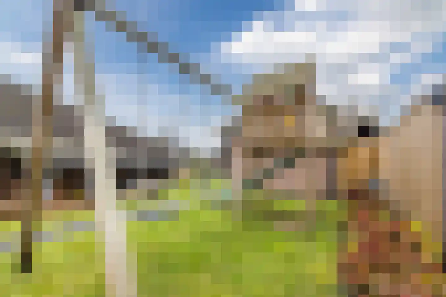 Bleekweide 2 Erp thumbnail 41