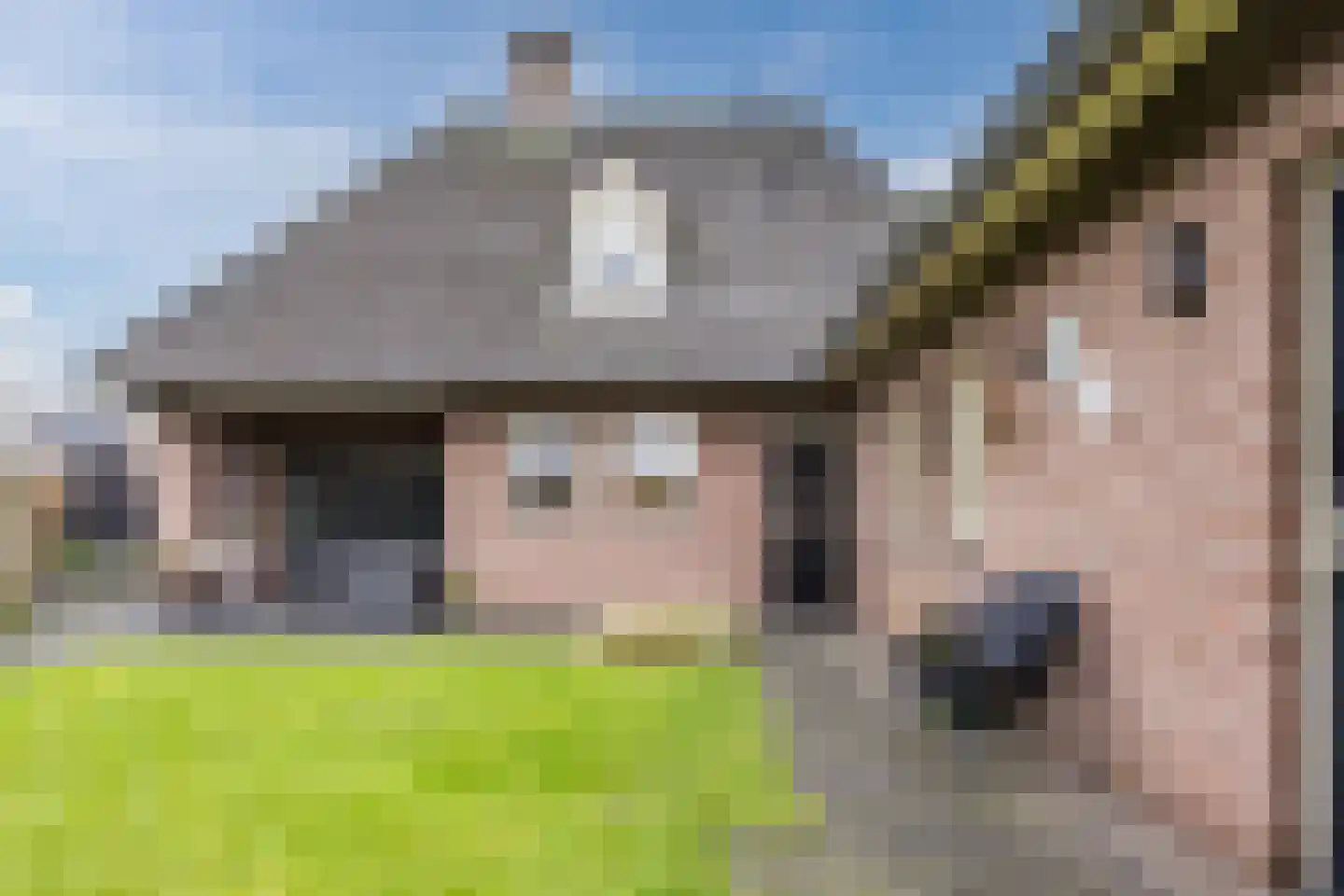 Bleekweide 2 Erp thumbnail 46
