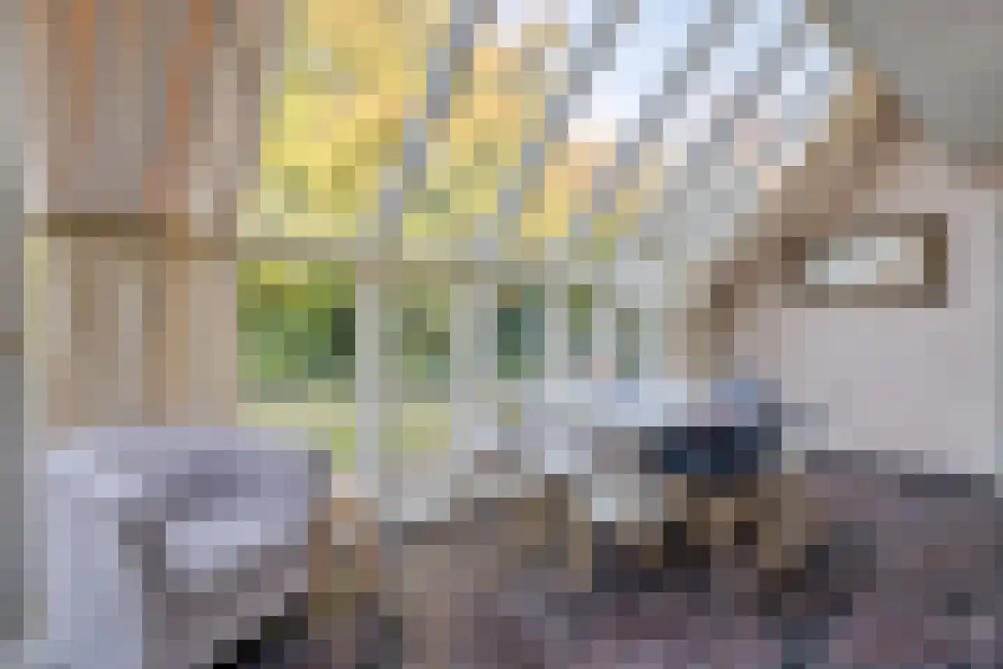 Bleekweide 3 Etten-Leur thumbnail 14