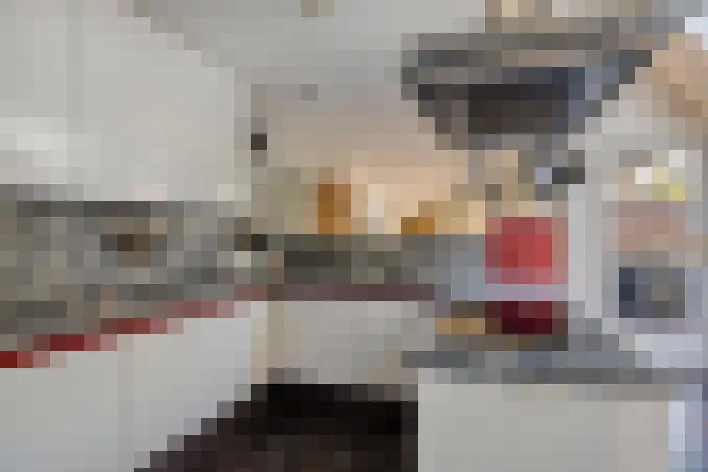 Bleekweide 3 Etten-Leur thumbnail 17