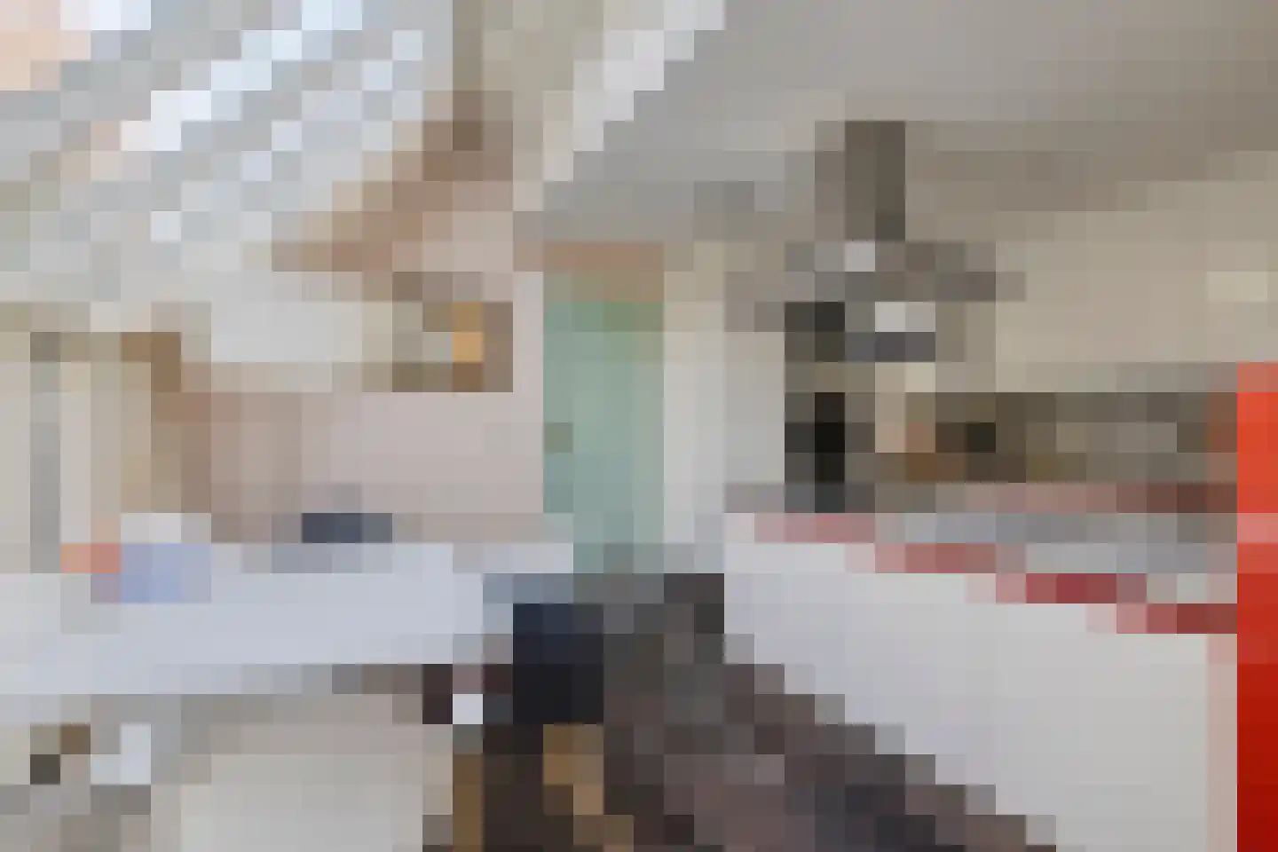 Bleekweide 3 Etten-Leur thumbnail 18