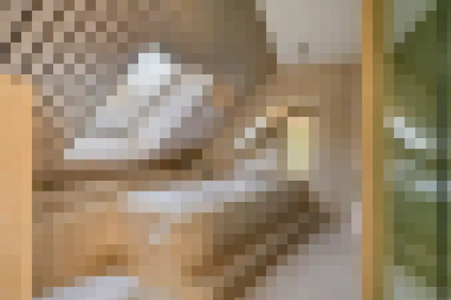 Bleekweide 3 Etten-Leur thumbnail 29