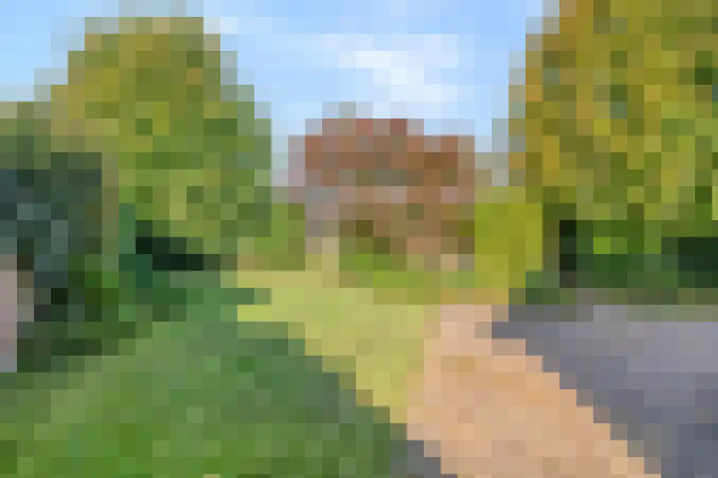 Bleekweide 3 Etten-Leur thumbnail 40