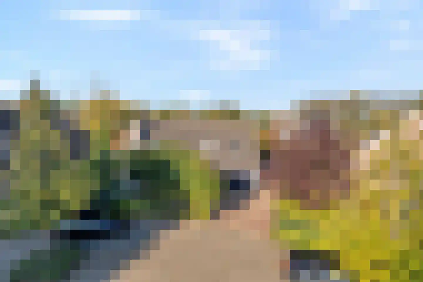 Bleekweide 3 Etten-Leur thumbnail 45