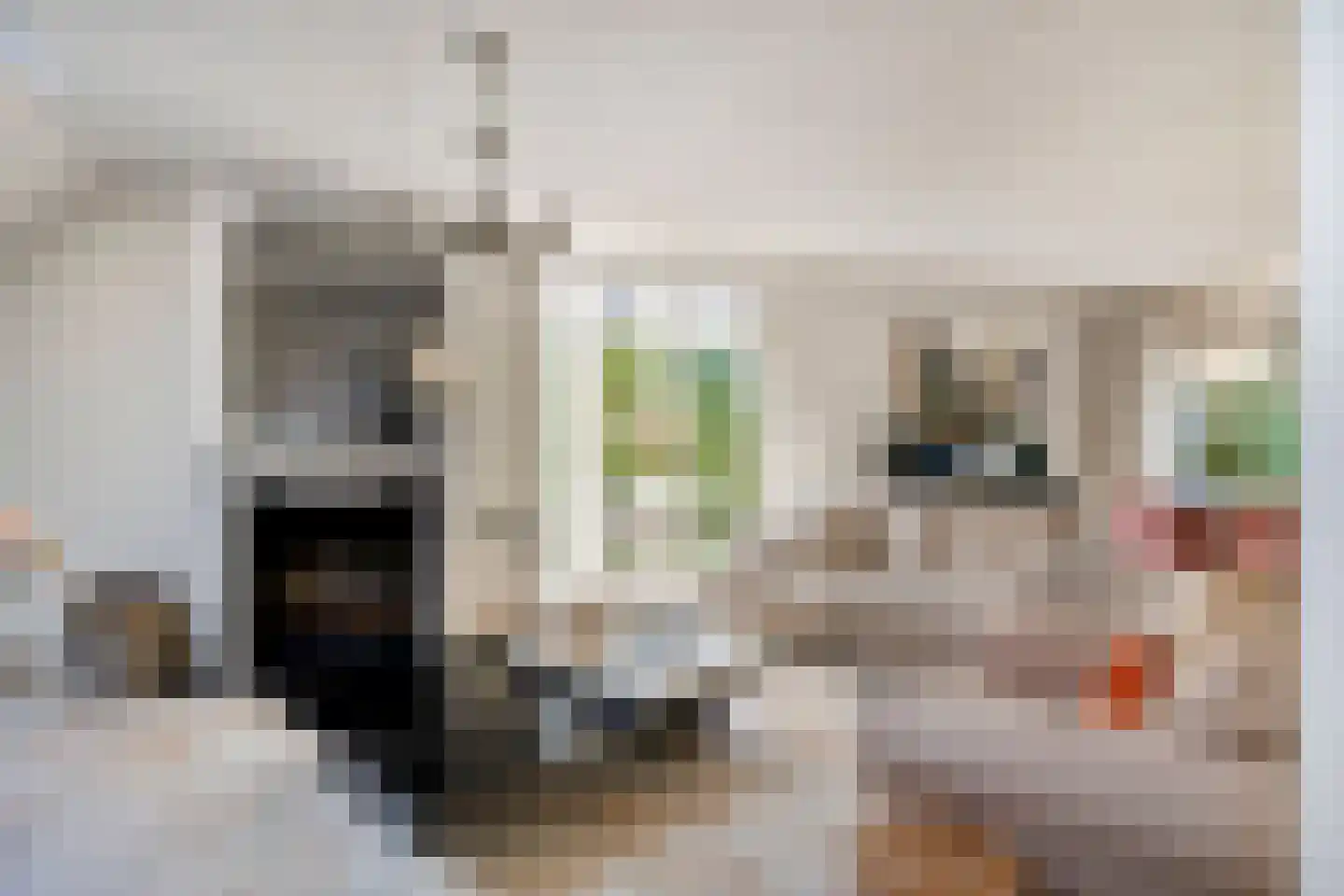 Bleekweide 3 Etten-Leur thumbnail 5