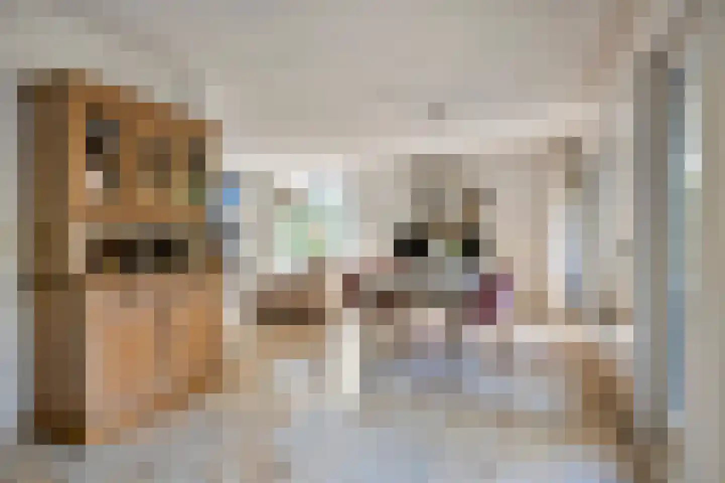 Bleekweide 3 Etten-Leur thumbnail 6
