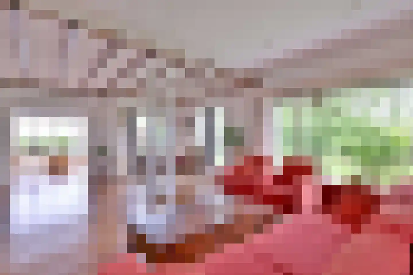 Bleerhorstdijk OZ 5 Heeten thumbnail 13