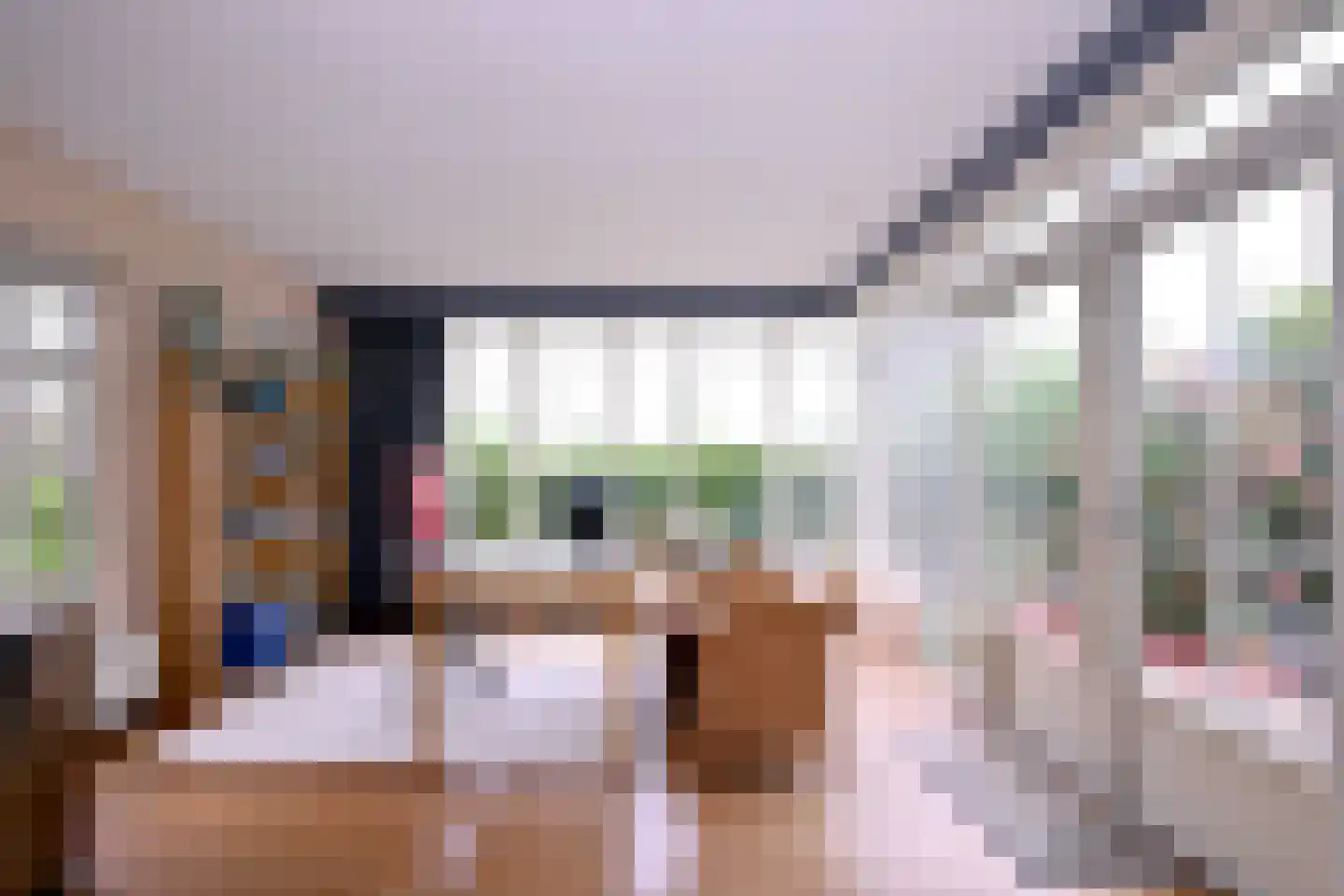 Bleerhorstdijk OZ 5 Heeten thumbnail 17