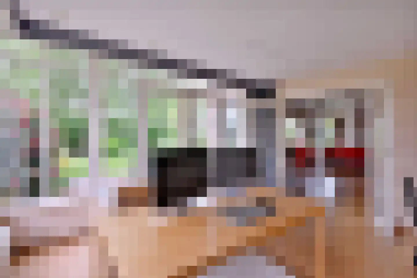 Bleerhorstdijk OZ 5 Heeten thumbnail 18