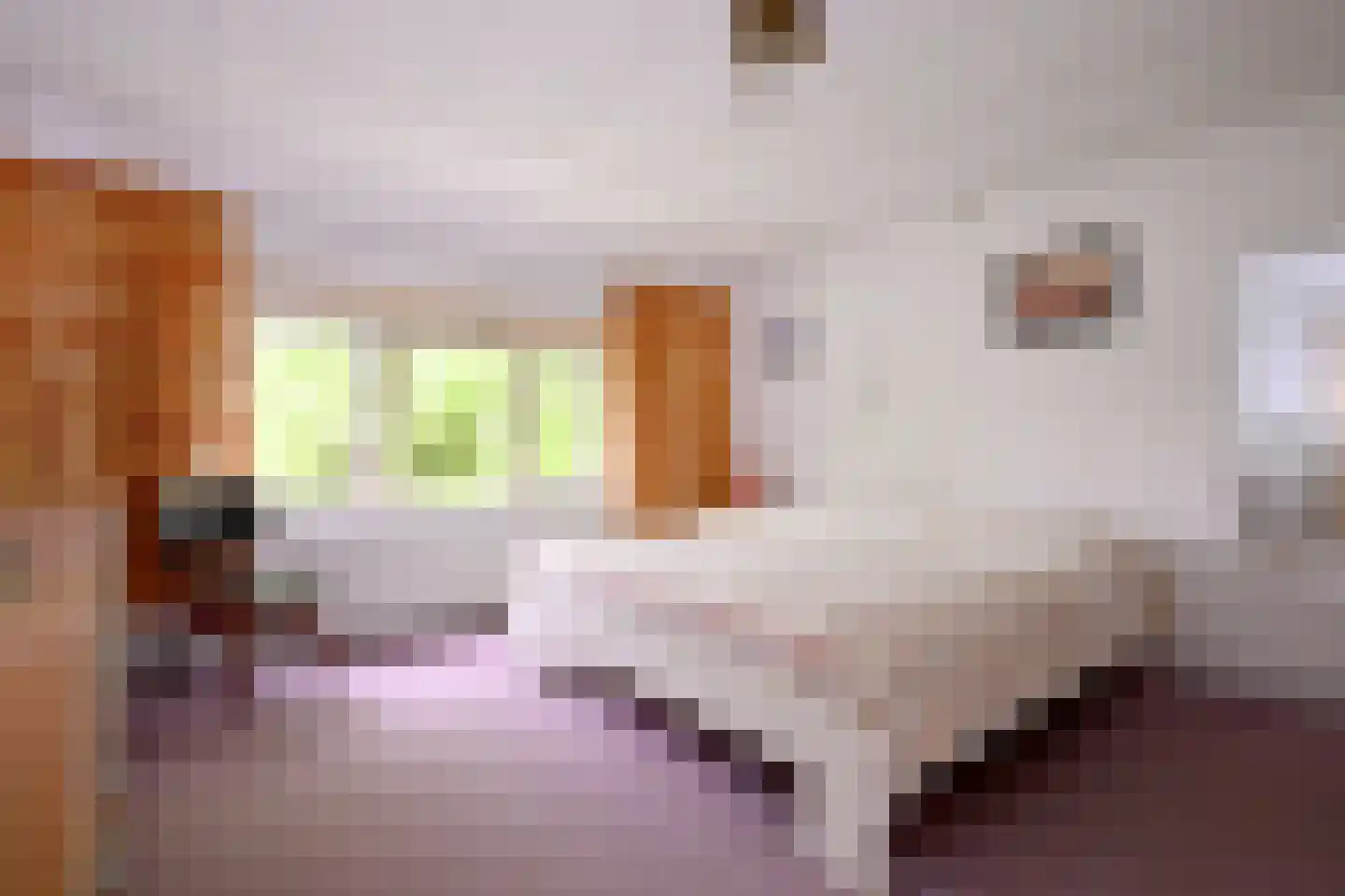 Bleerhorstdijk OZ 5 Heeten thumbnail 31