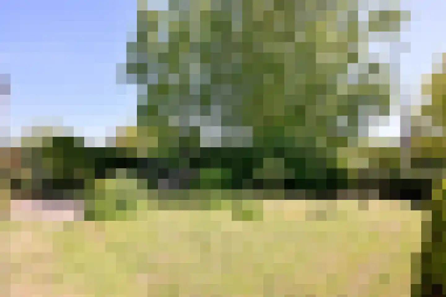 Bleerhorstdijk OZ 5 Heeten thumbnail 47
