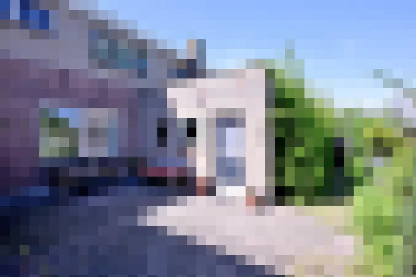 Bleerhorstdijk OZ 5 Heeten thumbnail 49
