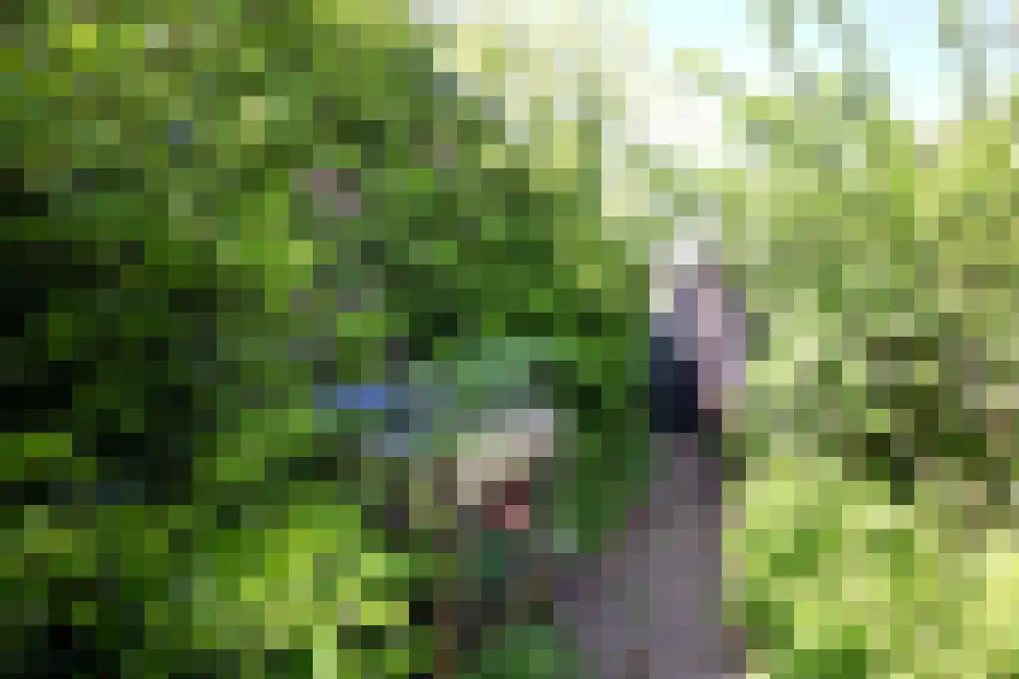 Bleerhorstdijk OZ 5 Heeten thumbnail 52