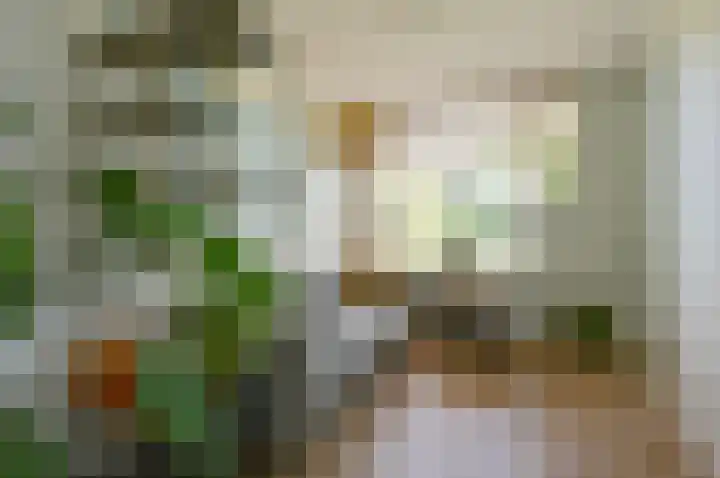 Blei 1 Blaricum thumbnail 12