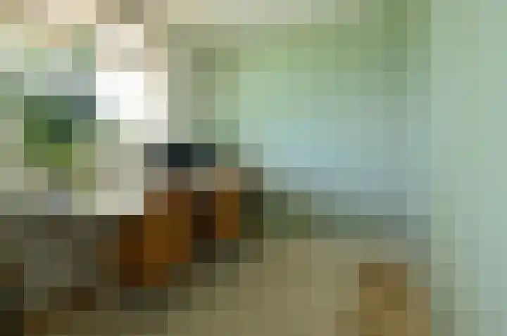 Blei 1 Blaricum thumbnail 13