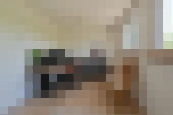 Blei 1 Blaricum thumbnail 18