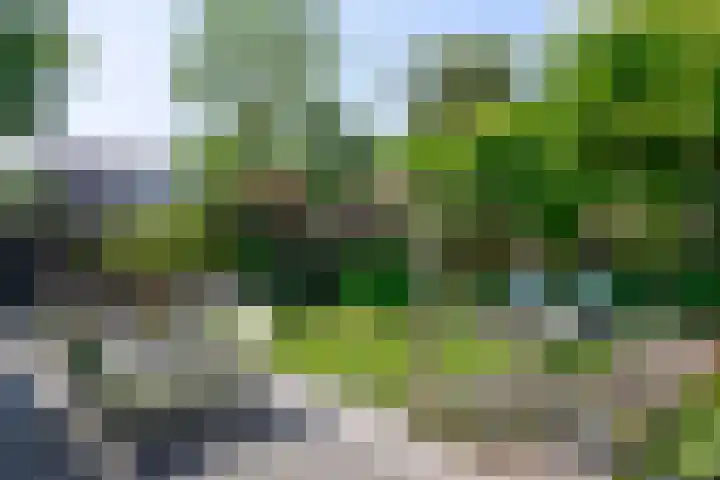 Blei 1 Blaricum foto 2