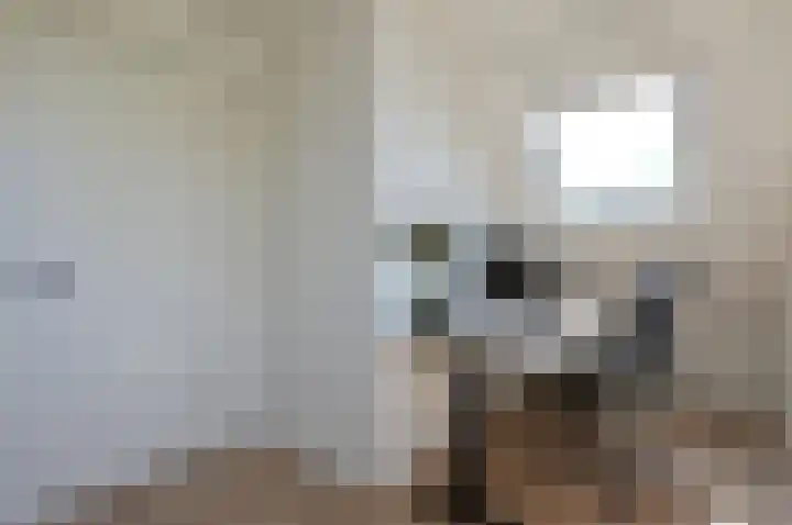 Blei 1 Blaricum thumbnail 21