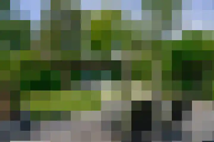 Blei 1 Blaricum thumbnail 24