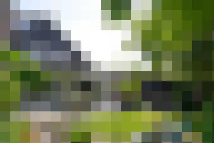 Blei 1 Blaricum thumbnail 25
