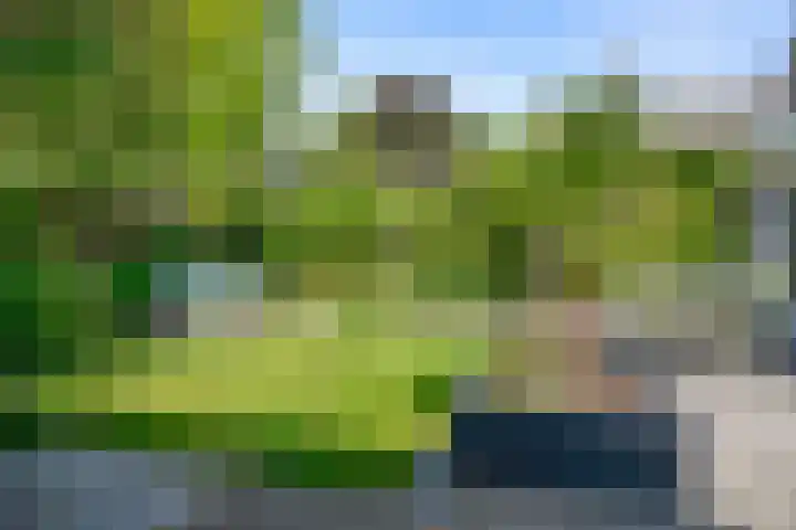Blei 1 Blaricum thumbnail 28