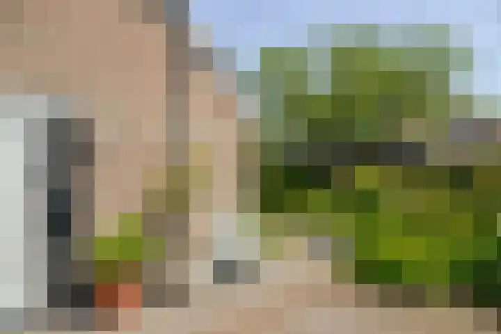 Blei 1 Blaricum thumbnail 30