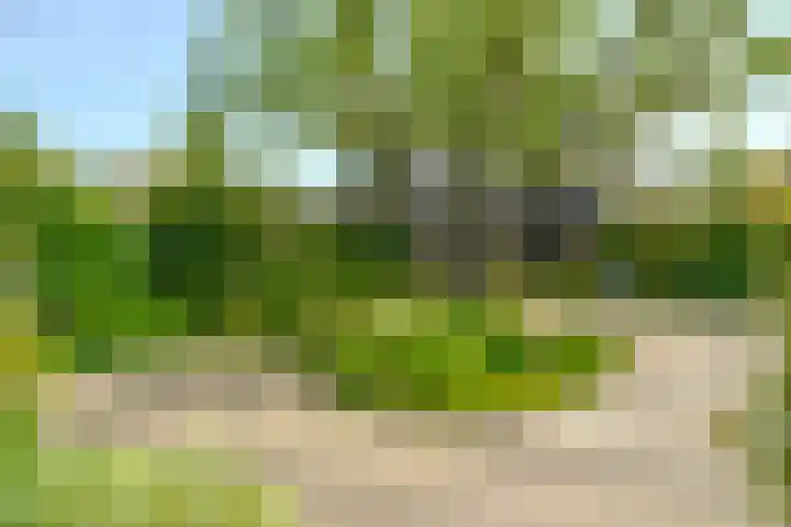 Blei 1 Blaricum thumbnail 31