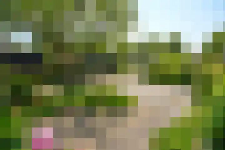Blei 1 Blaricum thumbnail 32