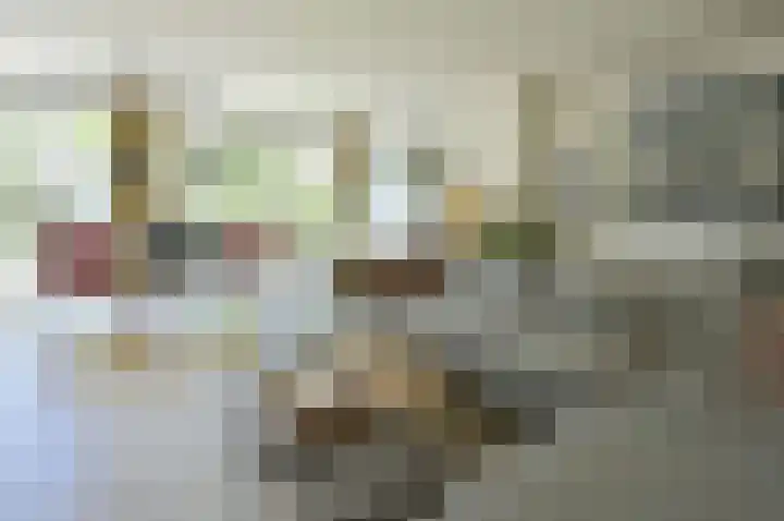 Blei 1 Blaricum thumbnail 4