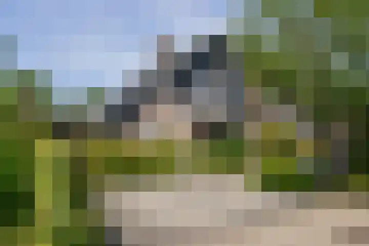 Blei 1 Blaricum thumbnail 40