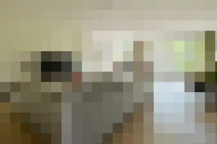Blei 1 Blaricum thumbnail 5