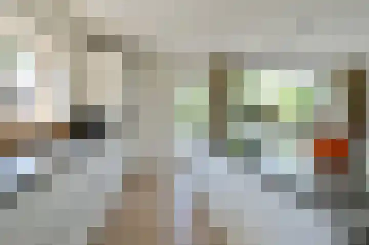 Blei 1 Blaricum thumbnail 9