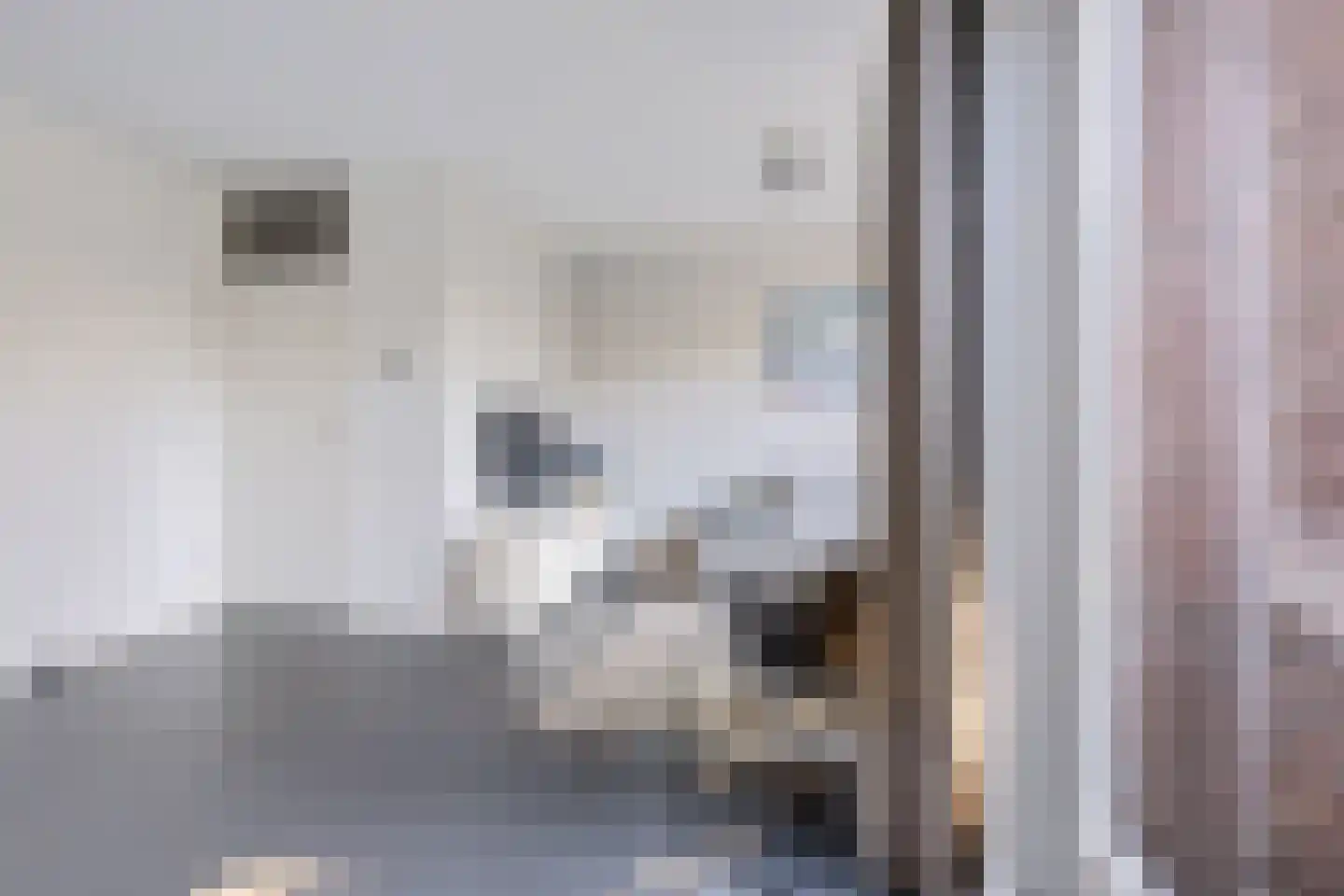 Blei 27 Blaricum thumbnail 11