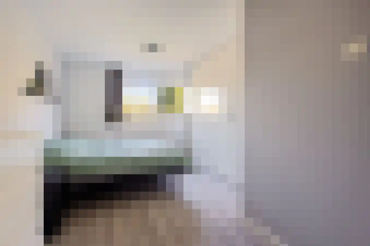 Blei 27 Blaricum thumbnail 26