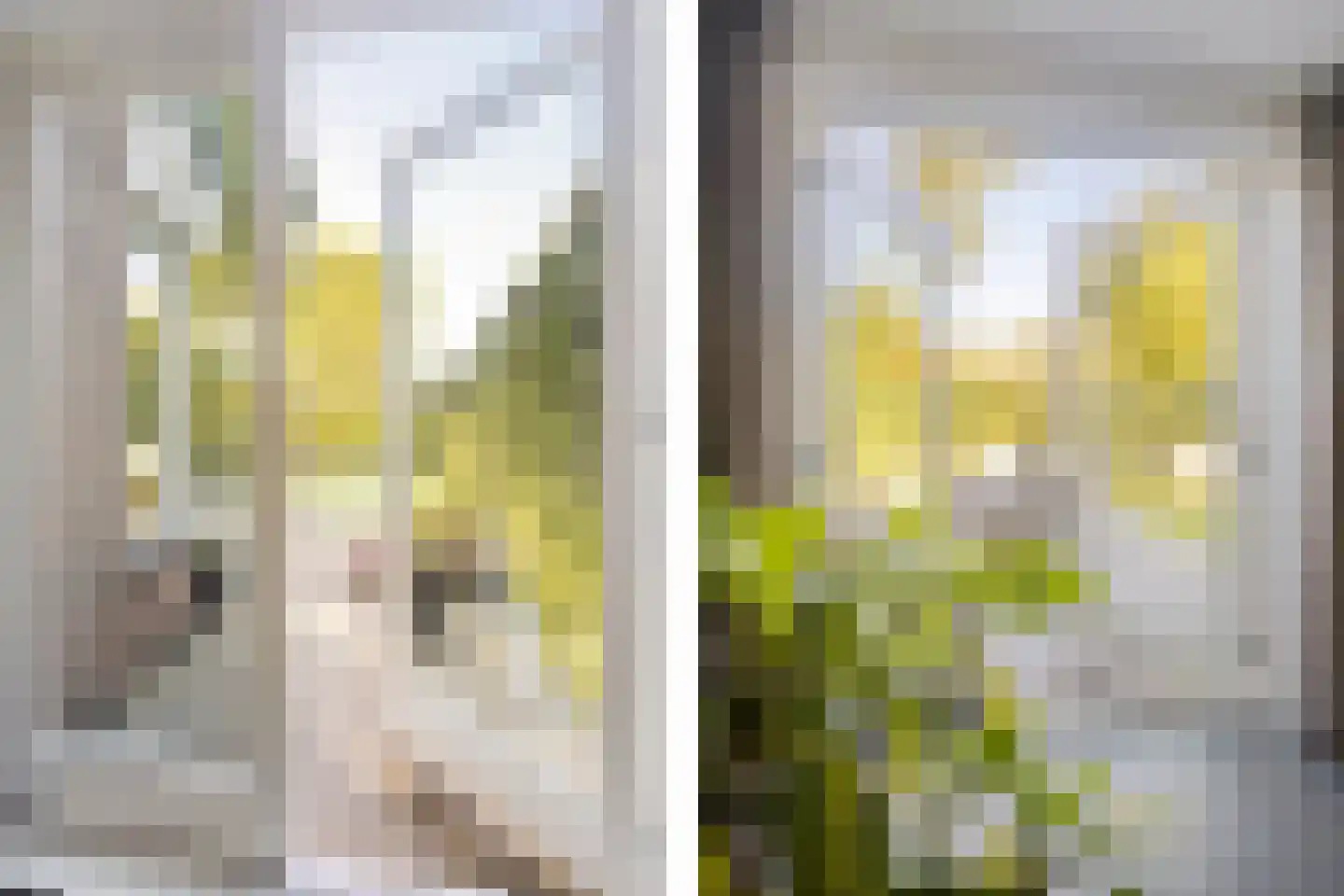 Blei 27 Blaricum thumbnail 9